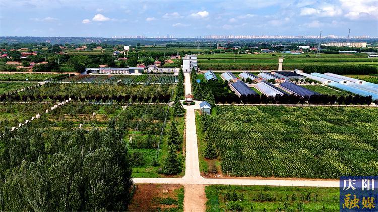 【攝影報(bào)道】不負(fù)夏日好時(shí)光  農(nóng)耕研學(xué)助成長(zhǎng)