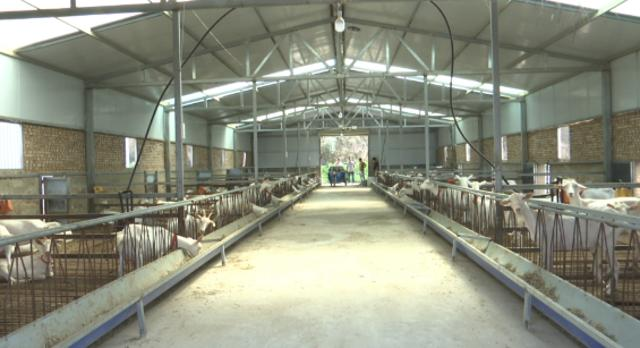 東西部協(xié)作“金鑰匙” 開啟關(guān)良村產(chǎn)業(yè)致富門