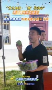 “甘之如飴‘桃’你歡心”黃甘桃采摘直播季｜網(wǎng)絡(luò)主播郭濤為家鄉(xiāng)黃甘桃代言，歡迎大家來(lái)寧縣采摘黃甘桃