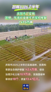 【回眸2025上半年】慶陽市上半年已實施造林、撫育和草原生態(tài)保護修復143.4萬畝