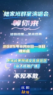 8月8日至9日每晚8點，陸家班群星演唱會等您來！