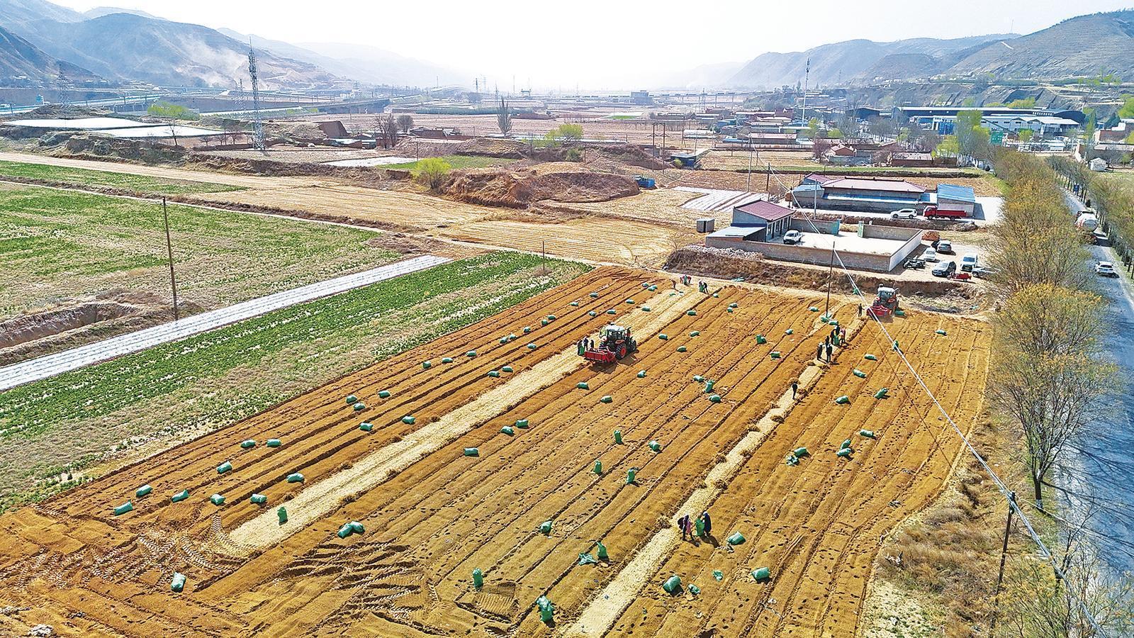 《隴東報(bào)》特刊·鄉(xiāng)村振興︱基層治理、產(chǎn)業(yè)鋪路......慶陽(yáng)打好“組合拳”鋪就振興路