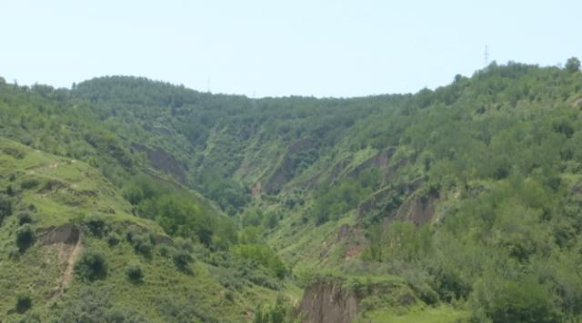 合水：以“兩山”理論為引領(lǐng) 譜寫生態(tài)與經(jīng)濟(jì)協(xié)同發(fā)展新篇章