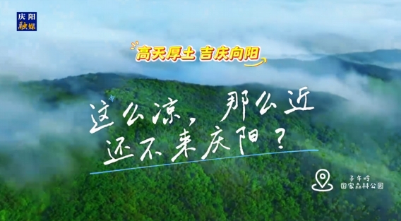 這么涼，那么近，還不來慶陽 ？——“天然氧吧”子午嶺國家森林公園歡迎您來！