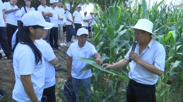 【全面推進(jìn)鄉(xiāng)村振興 加快農(nóng)業(yè)農(nóng)村現(xiàn)代化】合水：技術(shù)培訓(xùn)賦能田間管理助推糧油產(chǎn)能提升