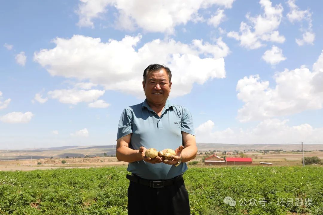 環(huán)縣：30萬畝馬鈴薯管護(hù)忙 豐收有“薯”光