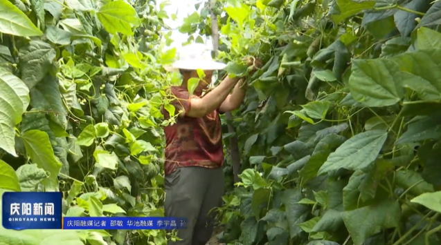 《慶陽新聞》2025年8月18日