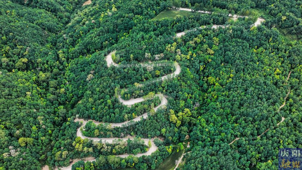 【攝影報(bào)道】S501線五頃塬至三嘉公路（張村至劉家店段）改建工程建設(shè)正酣