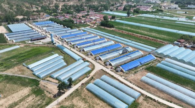 【黨旗引領(lǐng)新時(shí)代】合水：堅(jiān)持黨建引領(lǐng) 推動(dòng)村集體經(jīng)濟(jì)持續(xù)壯大