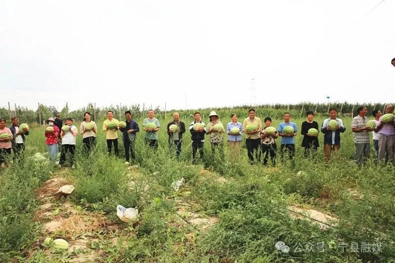 寧縣平定村：晚熟西瓜上市 激活村集體“甜蜜經(jīng)濟”