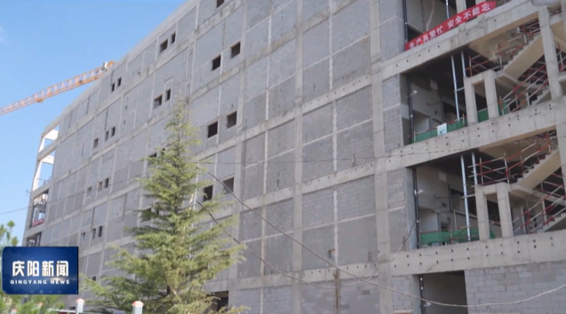 《慶陽新聞》2025年8月29日