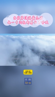 當秋霧涌滿董志塬，每一寸溝壑都屏住了呼吸