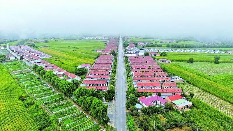 津甘攜手譜新篇 山海情深促振興 ——天津市紅橋區(qū)對(duì)口幫扶合水縣綜述