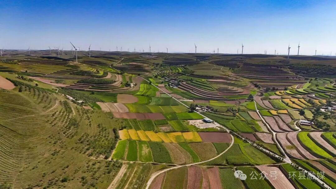 科技賦能強(qiáng)根基 特色勃發(fā)繪新篇——環(huán)縣奏響農(nóng)業(yè)豐收振興曲