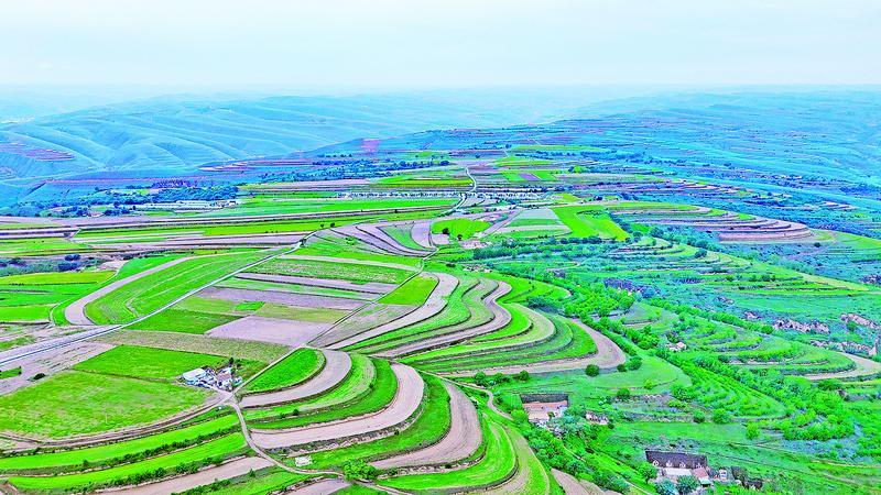 《隴東報》特刊·生態(tài)慶陽丨黃土塬變“生態(tài)長廊” 群眾有了生活新空間