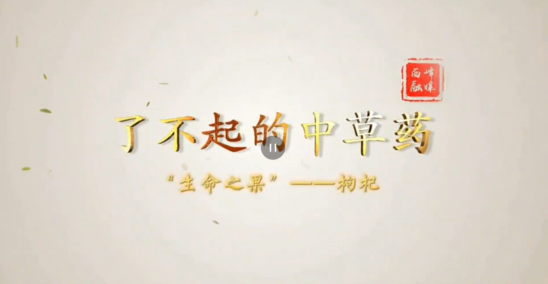 【2025甘肅·慶陽(yáng)岐黃文化論壇】了不起的中藥材︱枸杞