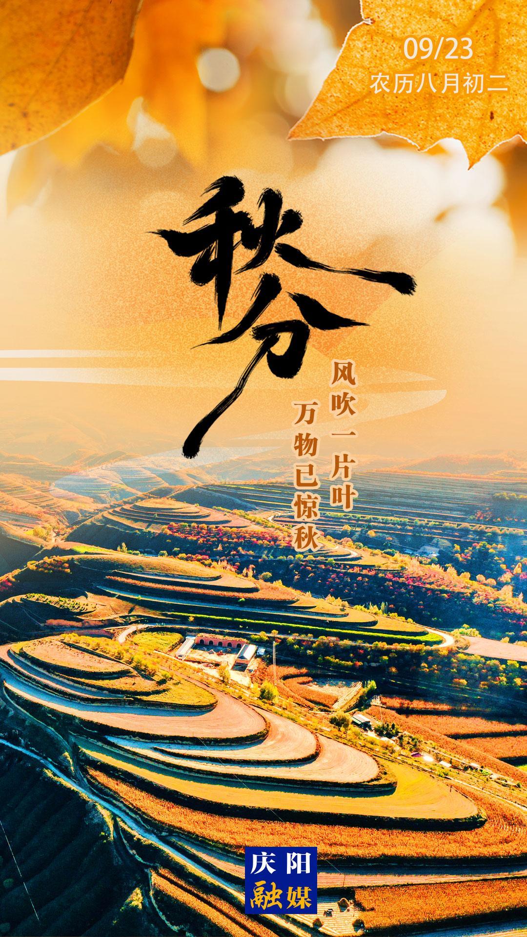 【微海報】秋分丨風(fēng)吹一片葉 萬物已知秋