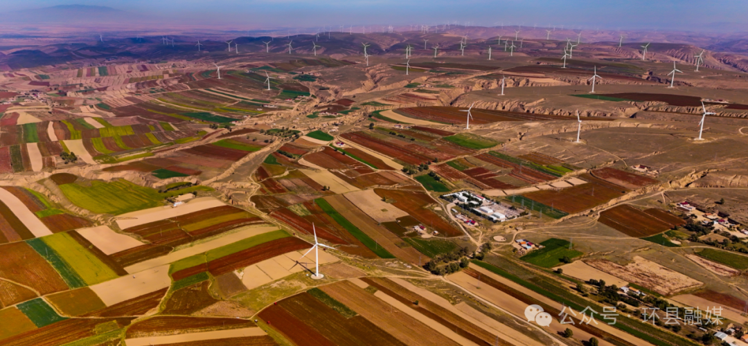 環(huán)縣50萬(wàn)畝小雜糧喜開(kāi)鐮 田間奏響豐收曲