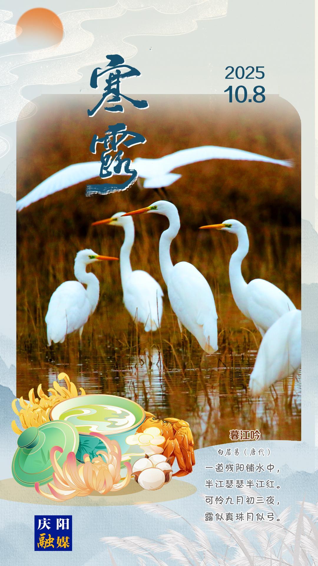 【微海報(bào)】寒露丨玉露寒秋 天帝競(jìng)艷