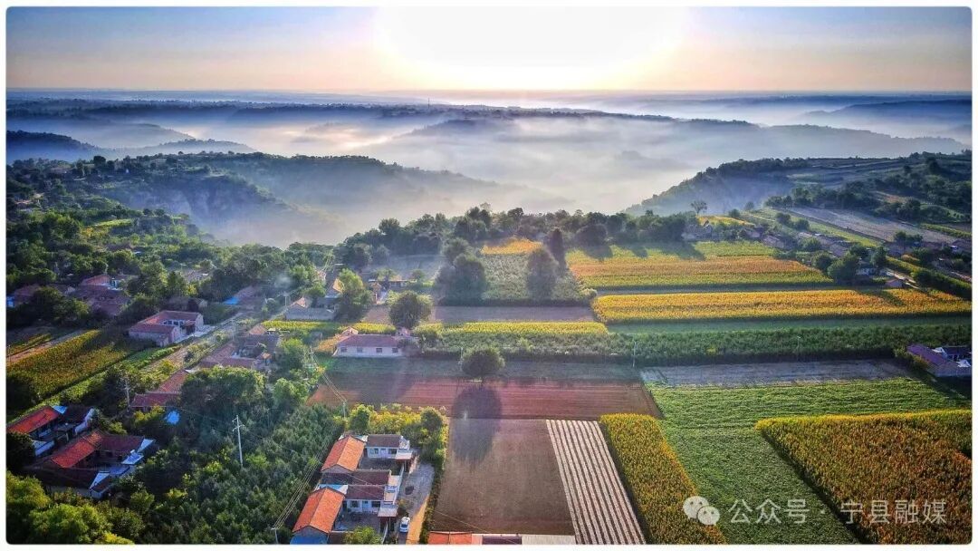 奮勇?tīng)?zhēng)先 實(shí)干為要 ——寧縣以“三抓三促”行動(dòng)賦能縣域經(jīng)濟(jì)高質(zhì)量發(fā)展