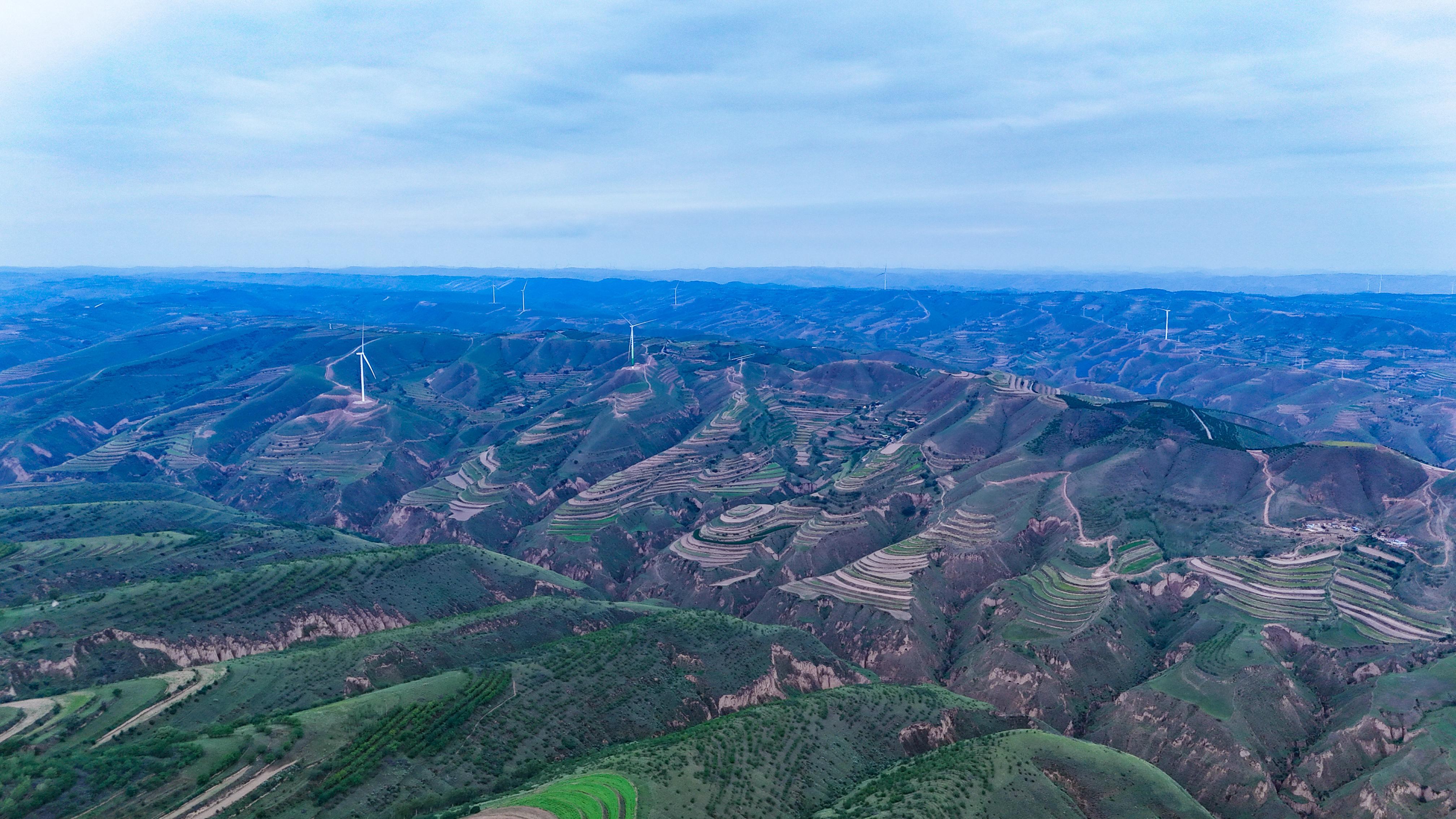 荒山綠約——回訪環(huán)縣三位“綠色愚公”的生命守望