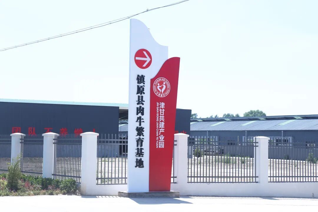 鎮(zhèn)原縣景家村：肉牛產(chǎn)業(yè)“鏈”出鄉(xiāng)村振興好“錢景”