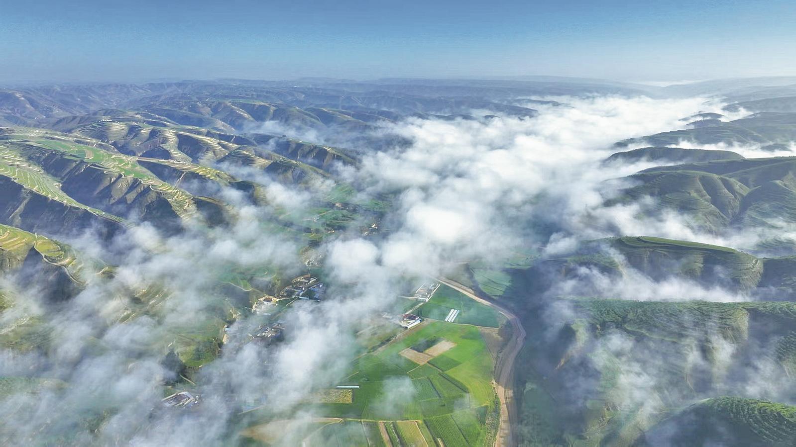 《隴東報》特刊·生態(tài)慶陽丨筑牢綠色發(fā)展根基 革命老區(qū)讓全國重點沙區(qū)縣綠滿青山