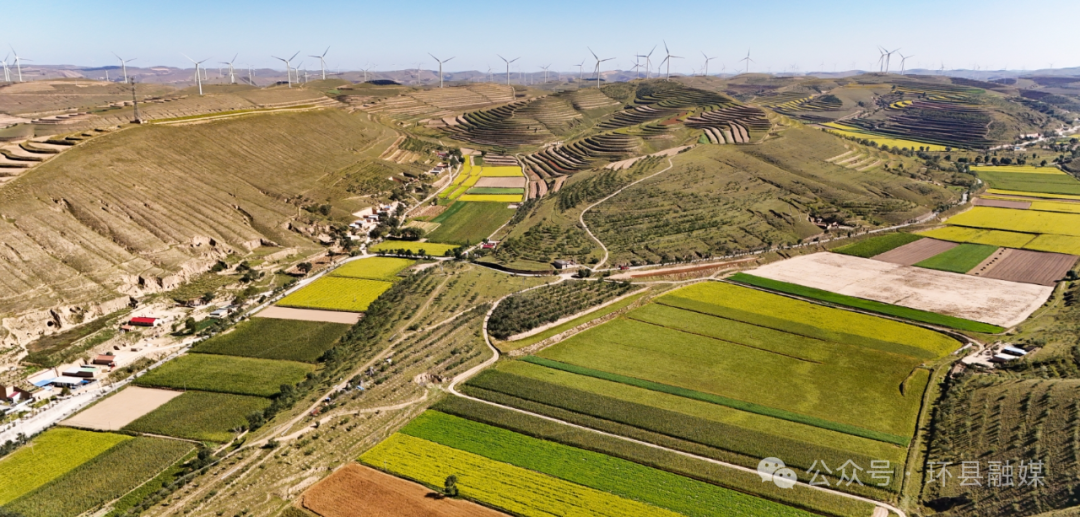 【攝影報道】環(huán)縣：秋色為筆 大地成詩