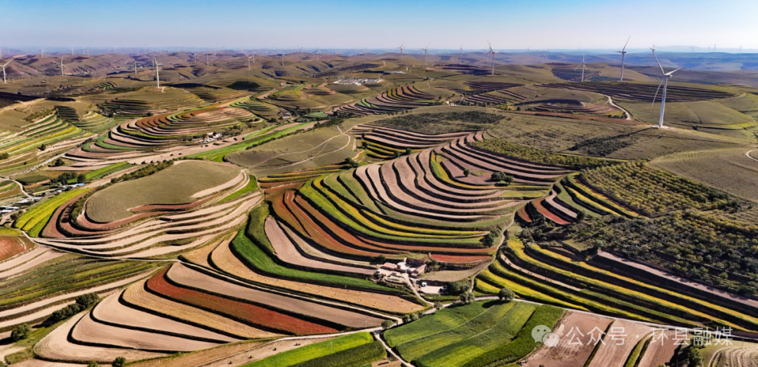 【攝影報道】：環(huán)縣：秋色為筆 大地成詩