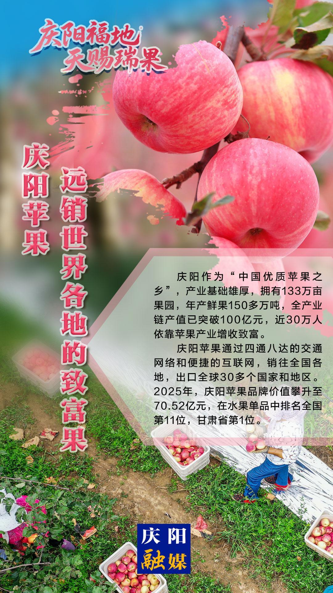 2025中國蘋果年會在慶陽·微海報丨慶陽蘋果——遠(yuǎn)銷世界各地的致富果