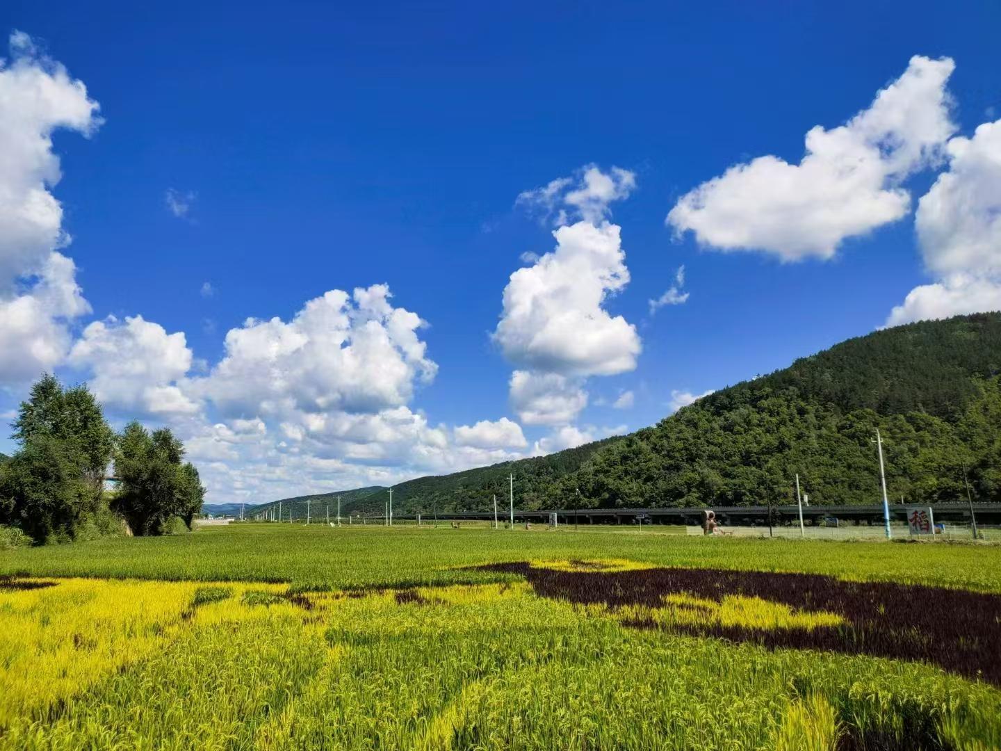 產(chǎn)業(yè)筑基 文旅賦能——合水縣太白鎮(zhèn)探索農(nóng)文旅融合發(fā)展之路