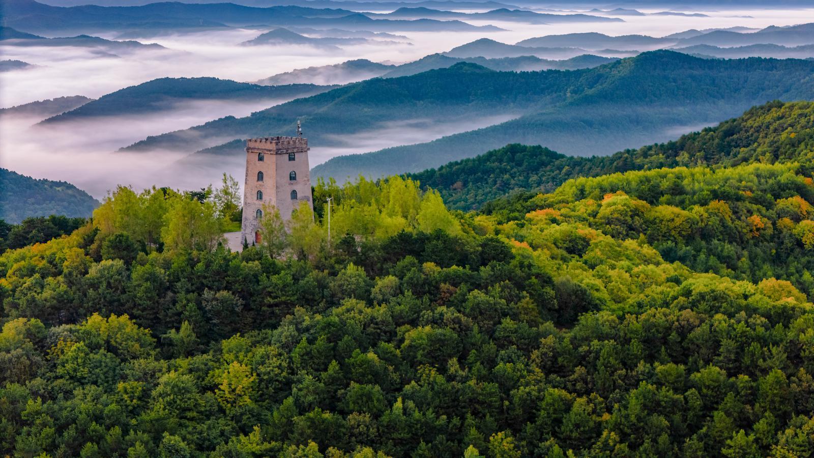 守護(hù)生態(tài)慶陽 共建安全屏障︱厚植優(yōu)勢向綠而行 生態(tài)基底持續(xù)夯實(shí) ——慶陽市“五個(gè)協(xié)同”筑牢生態(tài)安全屏障