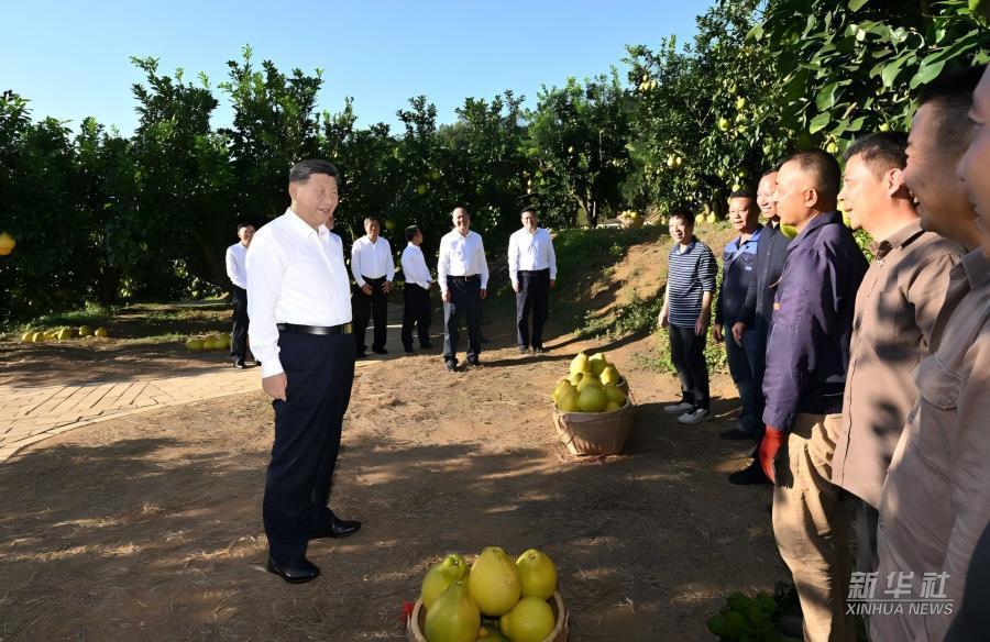 學習進行時｜習近平總書記關(guān)心推動老區(qū)發(fā)展振興的故事