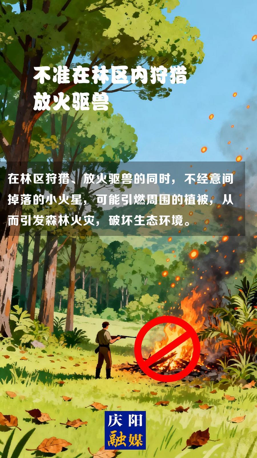【微海報(bào)】森林防火知識(shí)科普?(13)丨不準(zhǔn)在林區(qū)內(nèi)狩獵放火驅(qū)獸