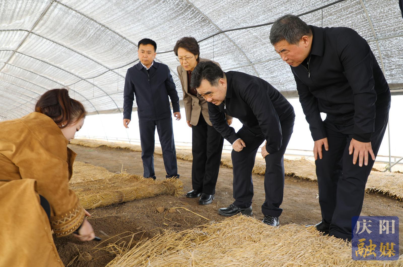 黃澤元在合水縣調(diào)研時(shí)強(qiáng)調(diào) 以農(nóng)文旅融合賦能鄉(xiāng)村全面振興 以產(chǎn)業(yè)升級(jí)激發(fā)高質(zhì)量發(fā)展活力