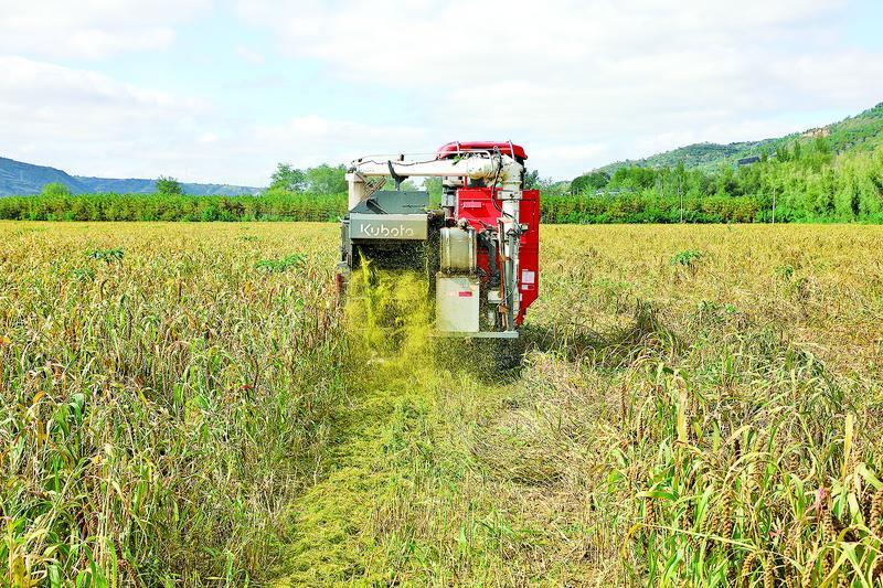 《隴東報(bào)》特刊·鄉(xiāng)村振興︱慶陽(yáng)拓寬鄉(xiāng)村振興路 富民產(chǎn)業(yè)“百花齊放”