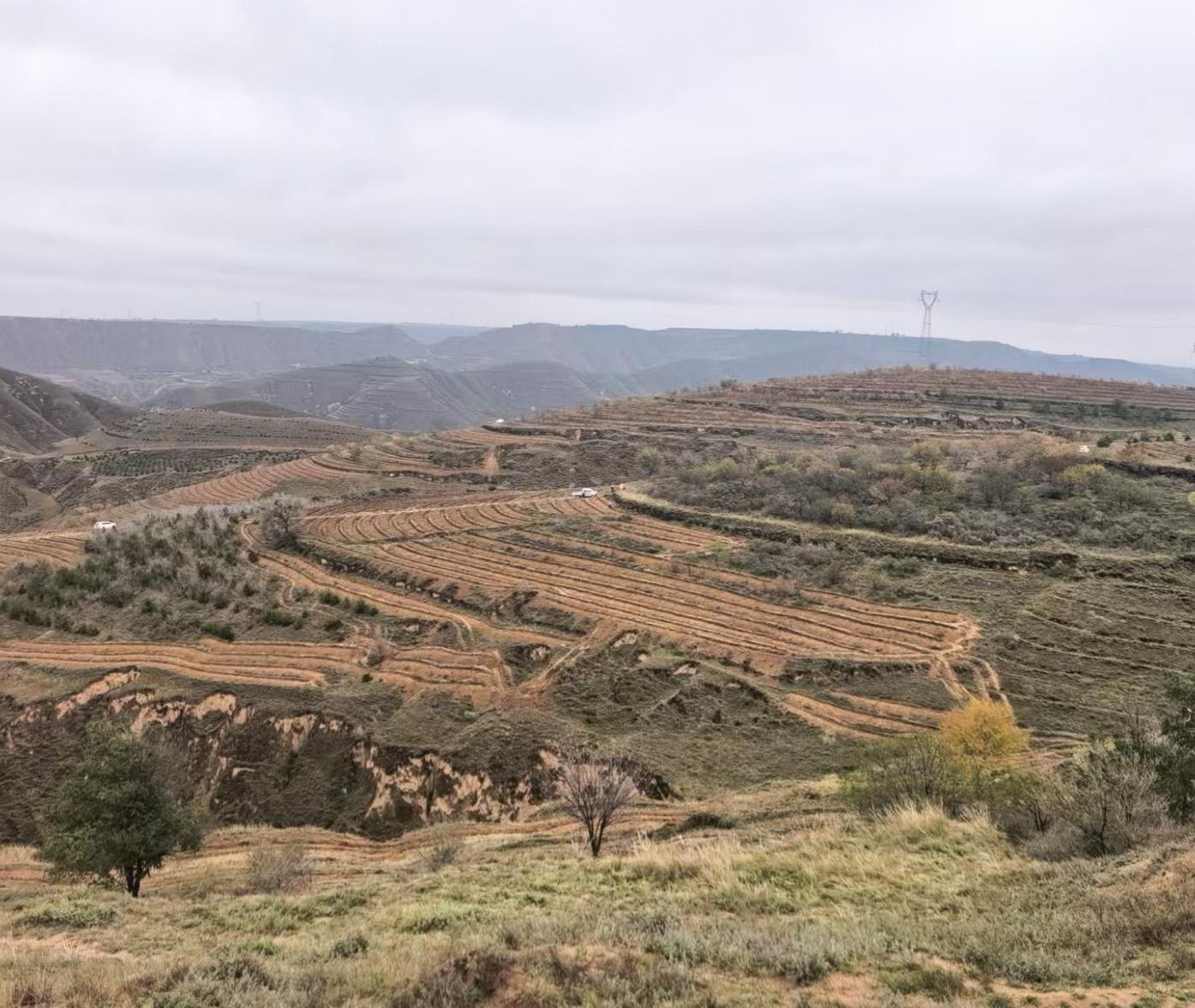 環(huán)縣虎洞鎮(zhèn)：多元發(fā)展鋪就鄉(xiāng)村振興“富民路”