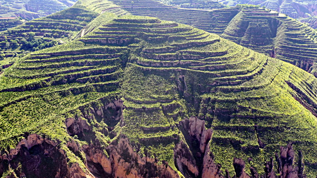 慶城：繪就綠水青山新畫卷 譜寫高質(zhì)量發(fā)展生態(tài)篇章