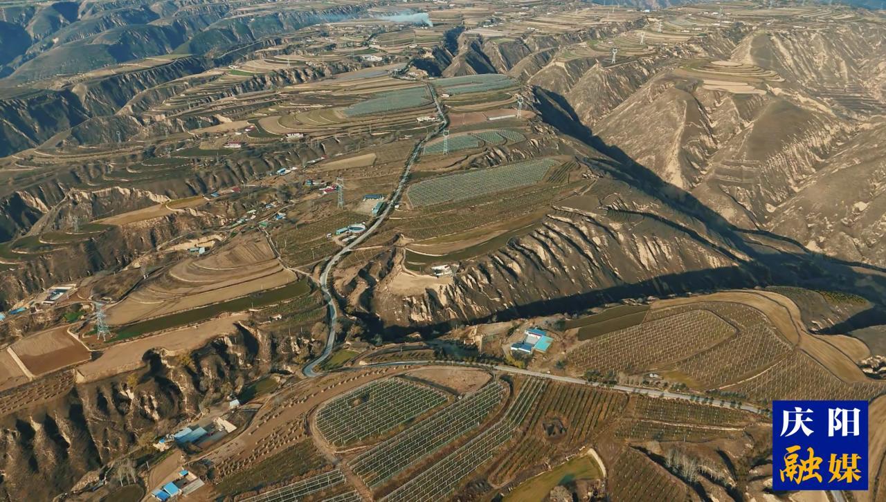 慶陽(yáng)福地 天賜瑞果| 環(huán)縣“羊+果”模式鋪就生態(tài)致富路