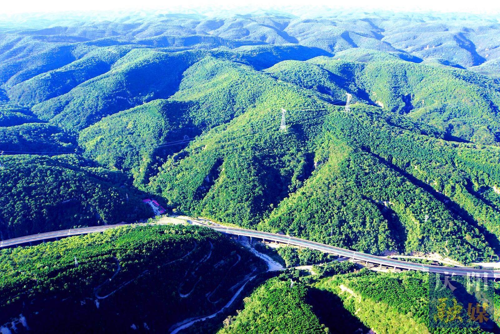 非凡“十四五”奮進(jìn)新慶陽 | 綠染隴東 生態(tài)惠民——“十四五”以來慶陽市林草工作實(shí)現(xiàn)高質(zhì)量發(fā)展