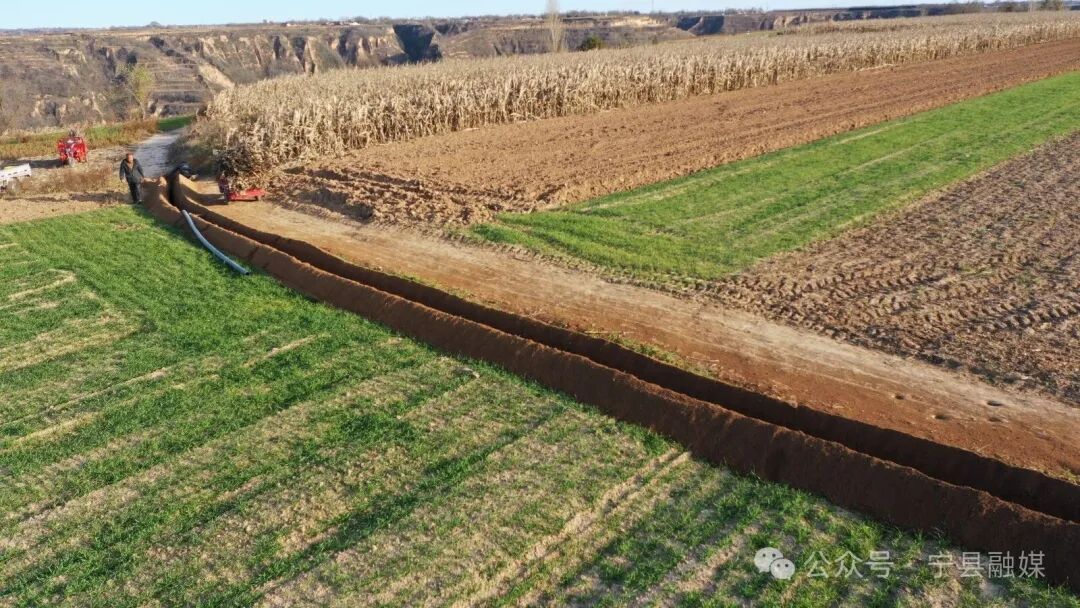 寧縣萬(wàn)畝糧田“提質(zhì)升級(jí)”夯實(shí)現(xiàn)代農(nóng)業(yè)發(fā)展“耕”基
