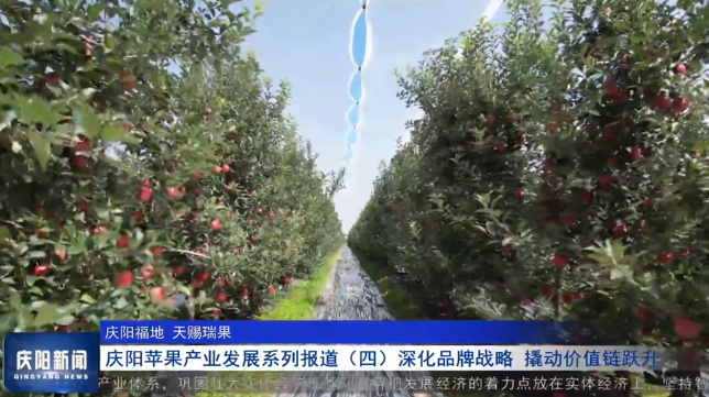 《慶陽新聞》2025年11月27日