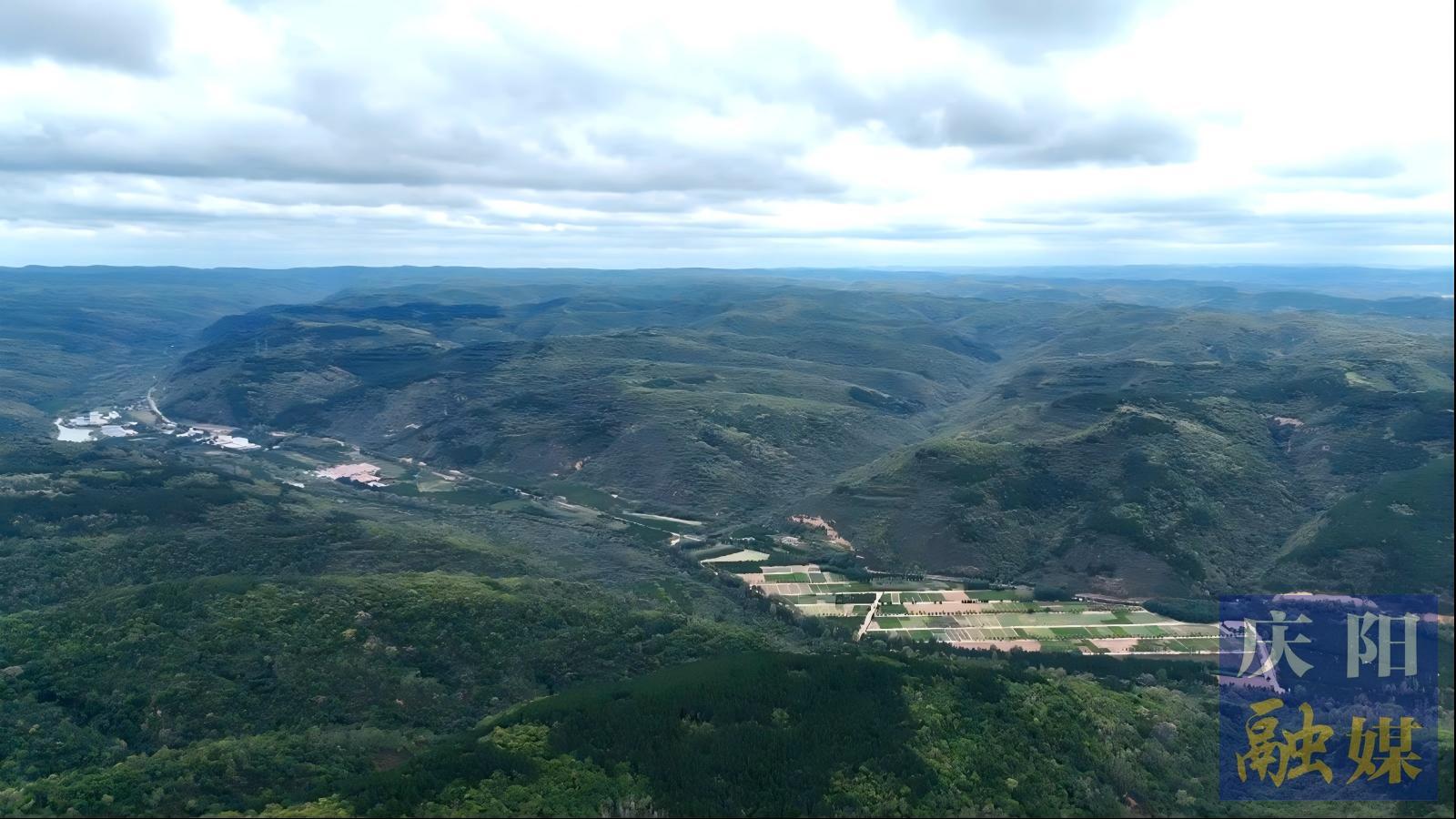 黨旗領(lǐng)航凝聚奮進(jìn)力量  ——慶陽(yáng)市分類推進(jìn)“五區(qū)”基層黨建紀(jì)實(shí)