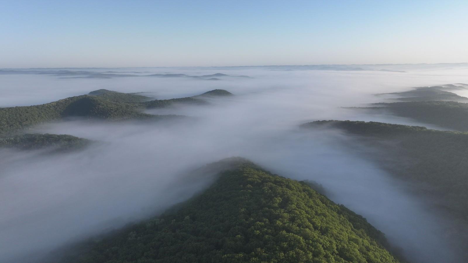 林緣深處黨旗紅——華池縣“一聯(lián)三共”解鎖護綠富民雙贏密碼