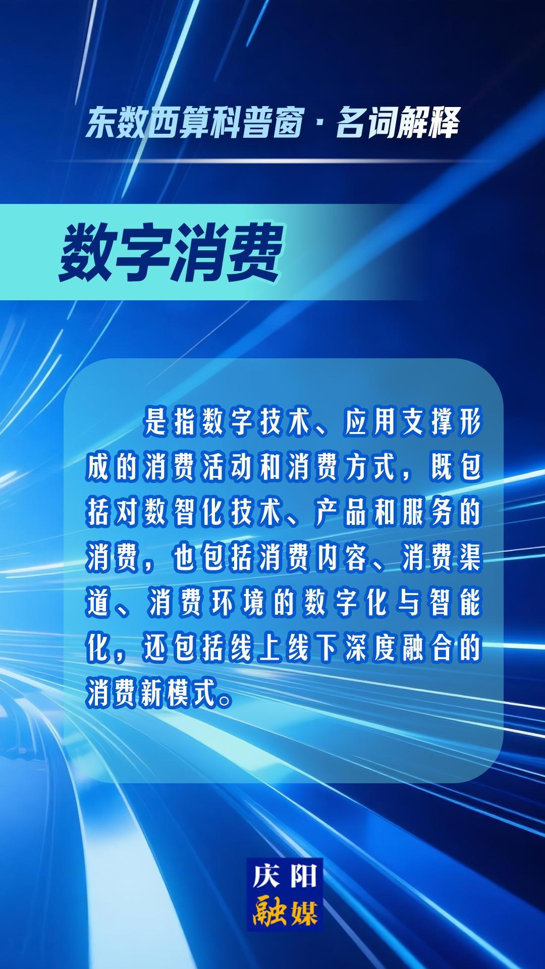 東數(shù)西算科普窗·名詞解釋丨數(shù)字消費