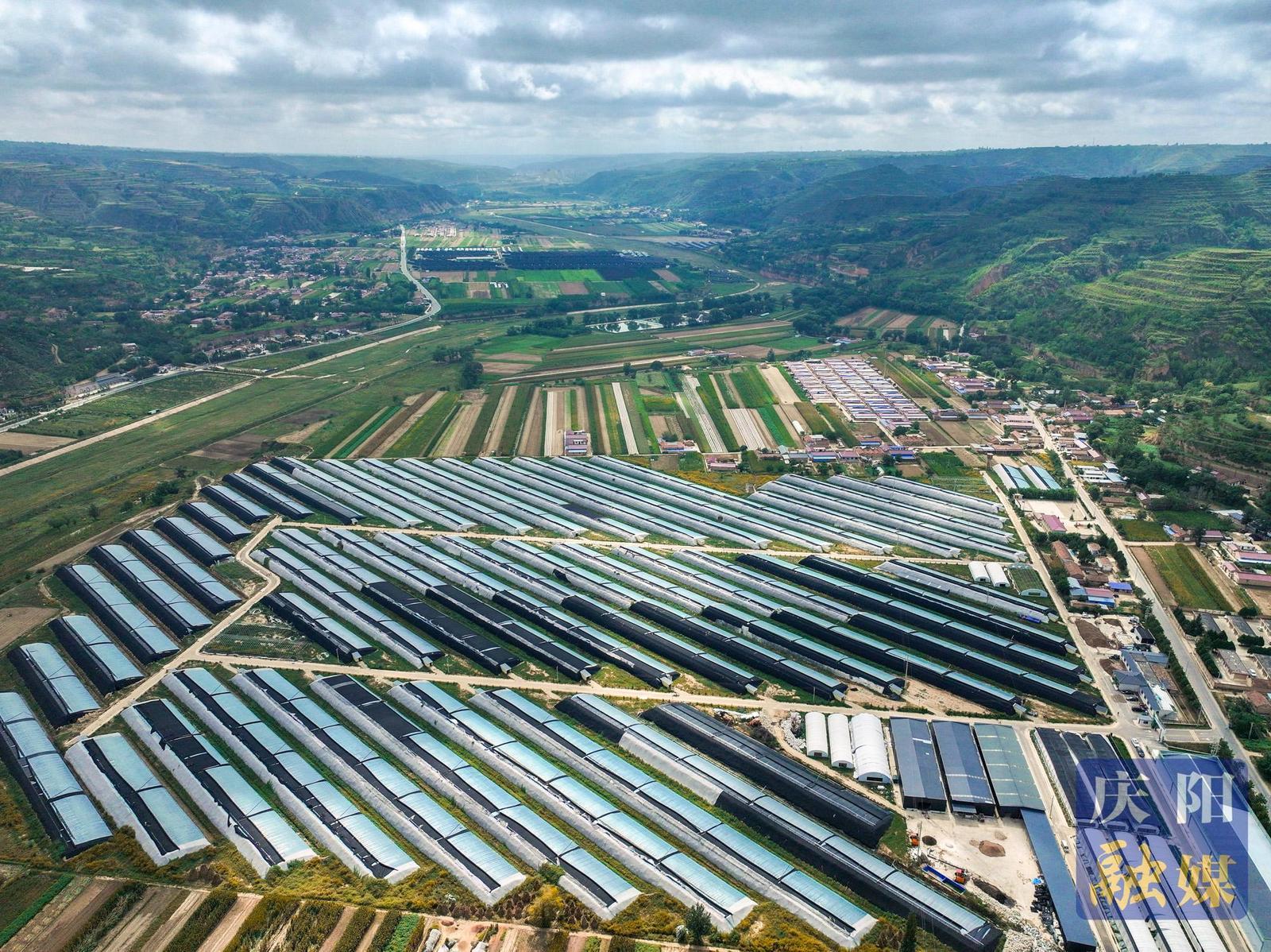 非凡“十四五” 奮進(jìn)新慶陽(yáng)|建好新時(shí)代“隴東糧倉(cāng)” ——慶陽(yáng)市“十四五”時(shí)期農(nóng)業(yè)農(nóng)村高質(zhì)量發(fā)展綜述