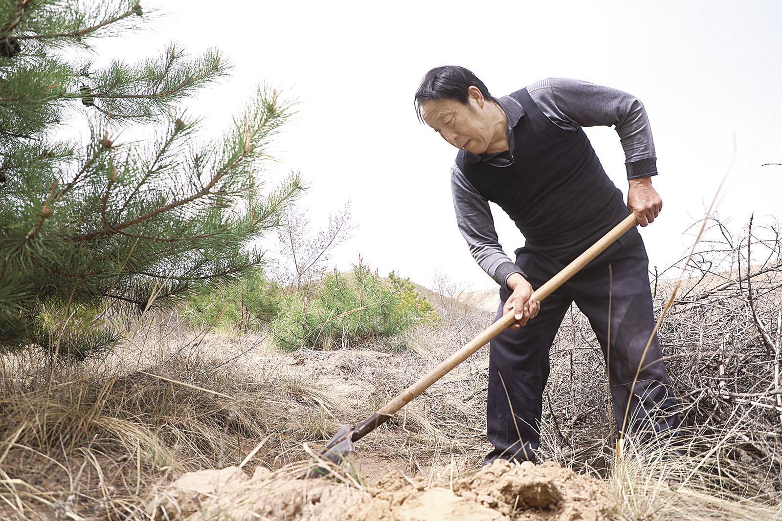 再訪(fǎng)“綠色愚公”蘇振軍