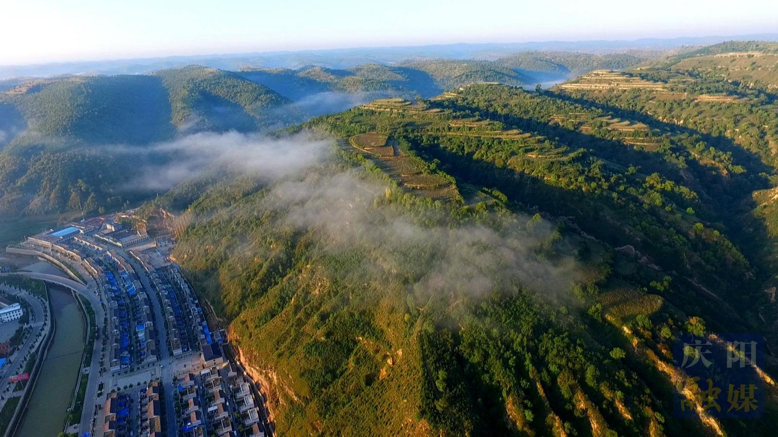 非凡“十四五” 奮進(jìn)新慶陽丨華池：以紅帶綠育新篇 綠水青山變金山