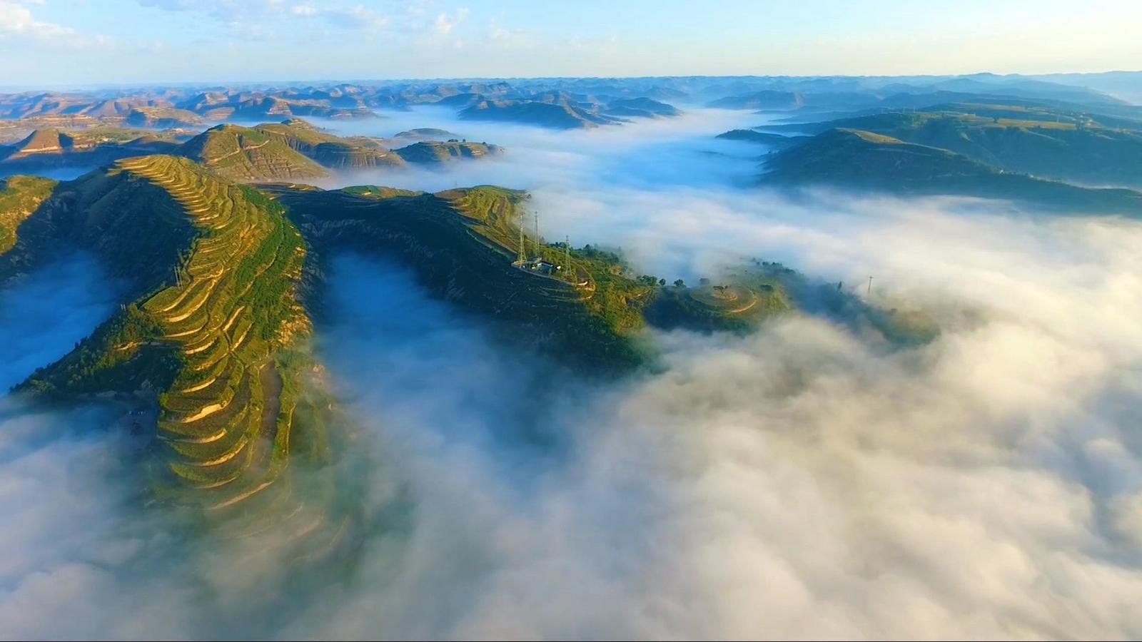 華池：小雜糧撐起致富夢(mèng) 黃土坡奏響振興曲
