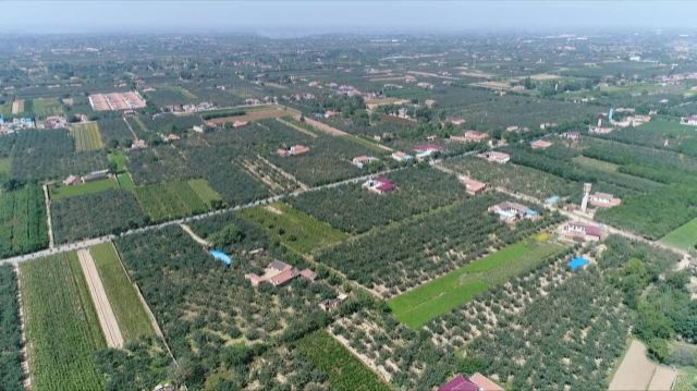 【“十四五”發(fā)展巡禮】合水縣何家畔鎮(zhèn)：交出亮眼答卷 繪就壯美畫卷